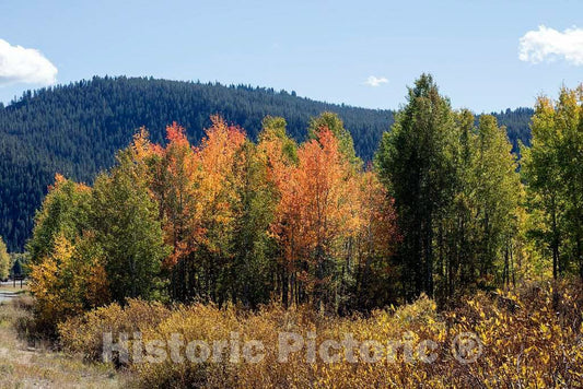 Photo- Fall display in Grand Teton National Park in northwest Wyoming. Other relatively small portions of the scenic park spill into Montana and Idaho 3 Fine Art Photo Reproduction