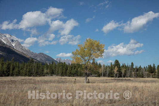 Photo- The Most Magnificent Peaks of The Teton Mountains Appear to leap Straight Out of The Jackson Valley, Jackson Hole as Locals Call it 11 Fine Art Photo Reproduction