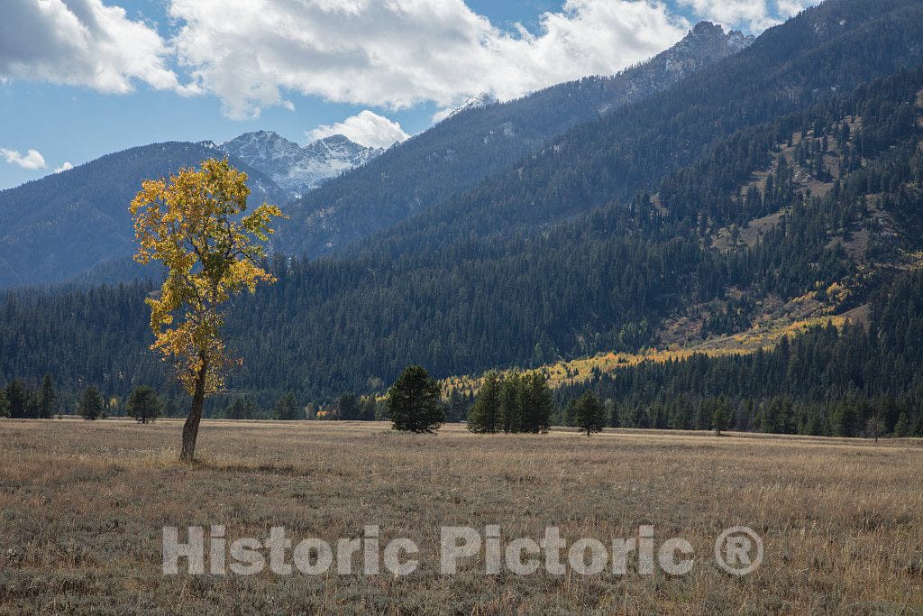 Photo- The Most Magnificent Peaks of The Teton Mountains Appear to leap Straight Out of The Jackson Valley, Jackson Hole as Locals Call it 12 Fine Art Photo Reproduction