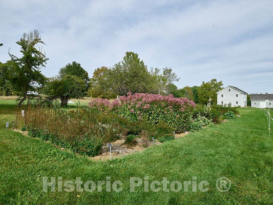 Photo- Garden at Canterbury Shaker Village in Canterbury, New Hampshire 1 Fine Art Photo Reproduction