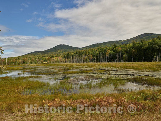 Photo - A bog, of The sort That Area Moose find Pleasant for Foraging, Near East Sandwich, New Hampshire- Fine Art Photo Reporduction