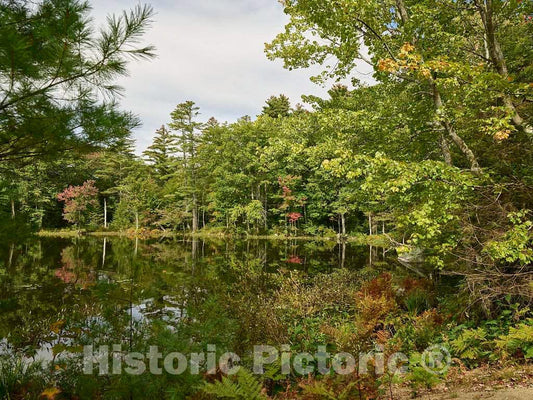 Photo- A Pleasant Pond Near East Sandwich, New Hampshire 1 Fine Art Photo Reproduction