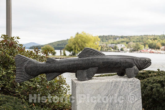 Photo - Andreas von Huene's Trout Sculpture on The Meredith Sculpture Walk Path Along Lake Winnipesaukee in Meredith, New Hampshire- Fine Art Photo Reporduction