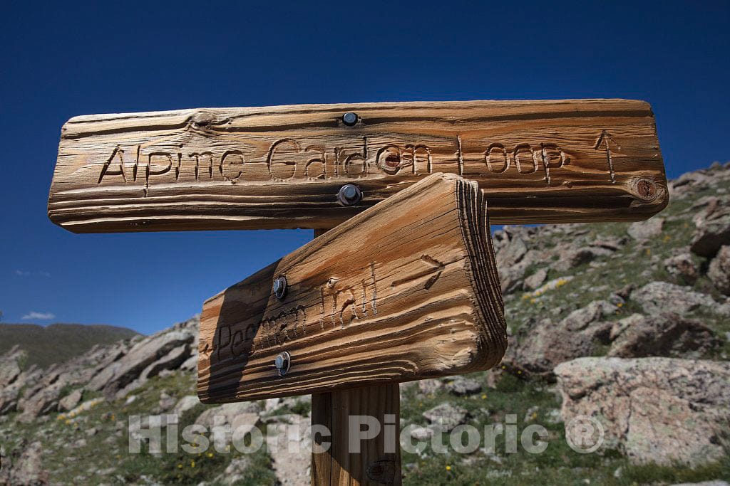 Photo - Trail Signs on Mount Goliath, a Haven for Hikers and Especially Wildflower Enthusiasts high in The Rocky Mountains Below Idaho Springs in Clear Creek County