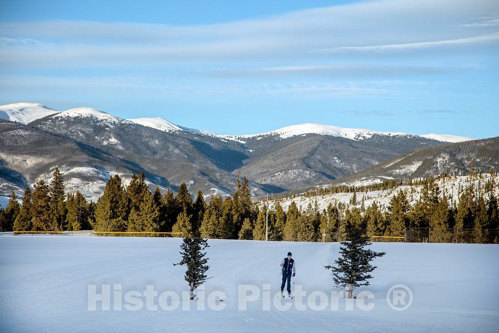 Photo - Cross-County Skier Bill Kowalski Glides Between Small evergreens in Frisco Discovery Park in Frisco, Colorado- Fine Art Photo Reporduction