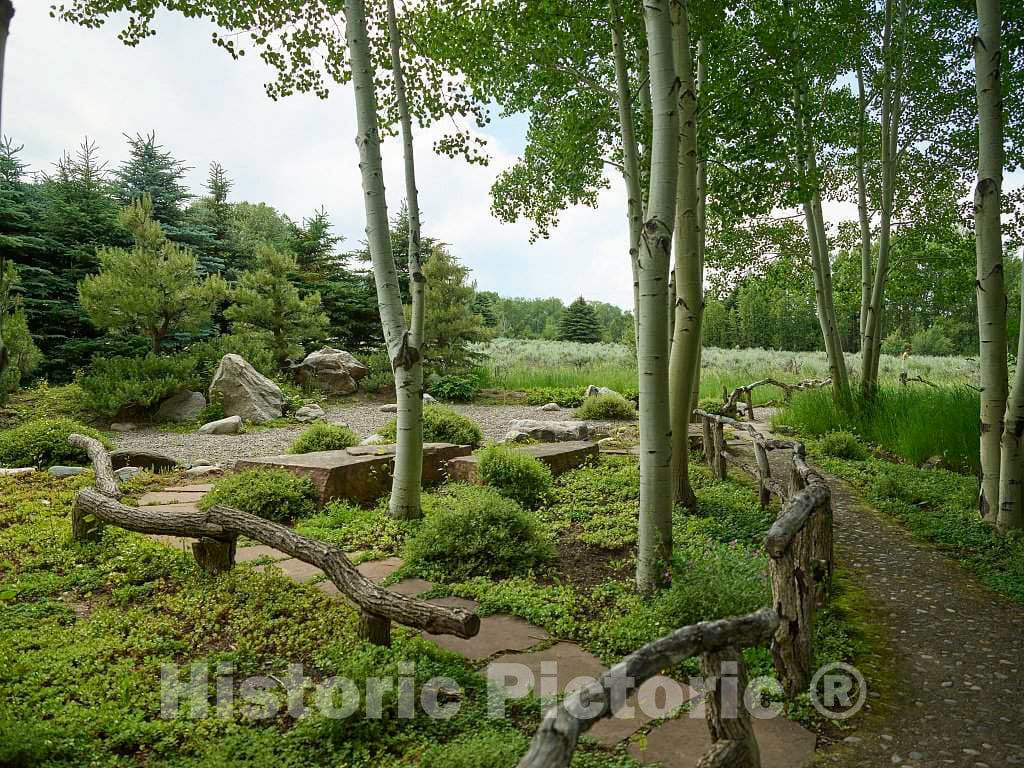 Photo - Trail at The Aspen Institute, a nonprofit Conference Center in The Old Mining Town of Aspen, Now a Popular Arts and Skiing Destination- Fine Art Photo Reporduction