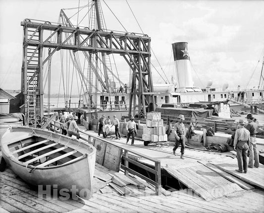 Historic Black & White Photo - New Orleans, Louisiana - Conveyors on the Docks, c1906 -