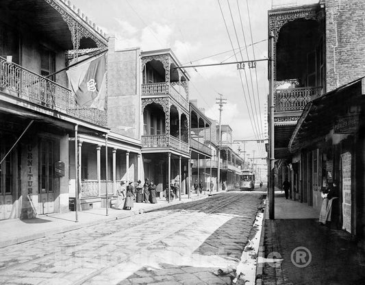 Historic Black & White Photo - New Orleans, Louisiana - Along Royal Street, c1895 -