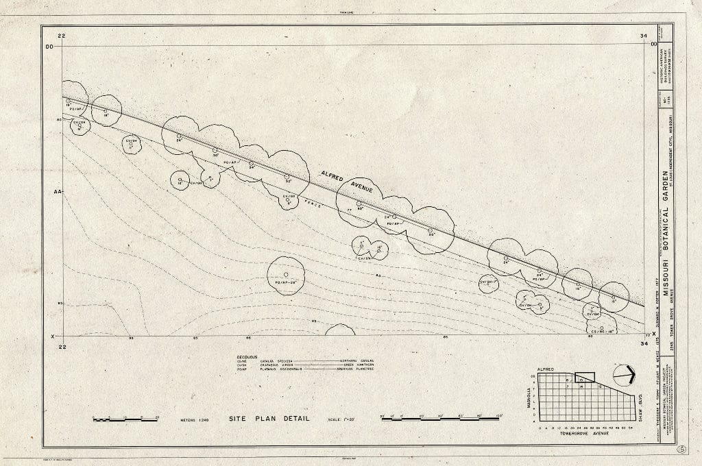 Blueprint HABS MO,96-SALU,105- (Sheet 17 of 24) - Missouri Botanical Garden, 2345 Tower Grove Avenue, Saint Louis, Independent City, MO