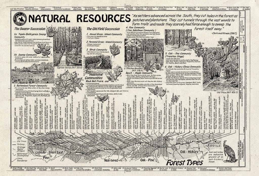 Blueprint Natural Resources - Natchez Trace Parkway, Located Between Natchez, MS & Nashville, TN, Tupelo, Lee County, MS